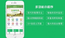 吃瓜爆料小课堂公众号,轻松掌握娱乐圈最新动态