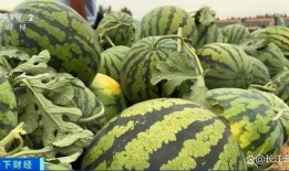 吃瓜山东菏泽最新事件爆料,揭秘背后惊人真相